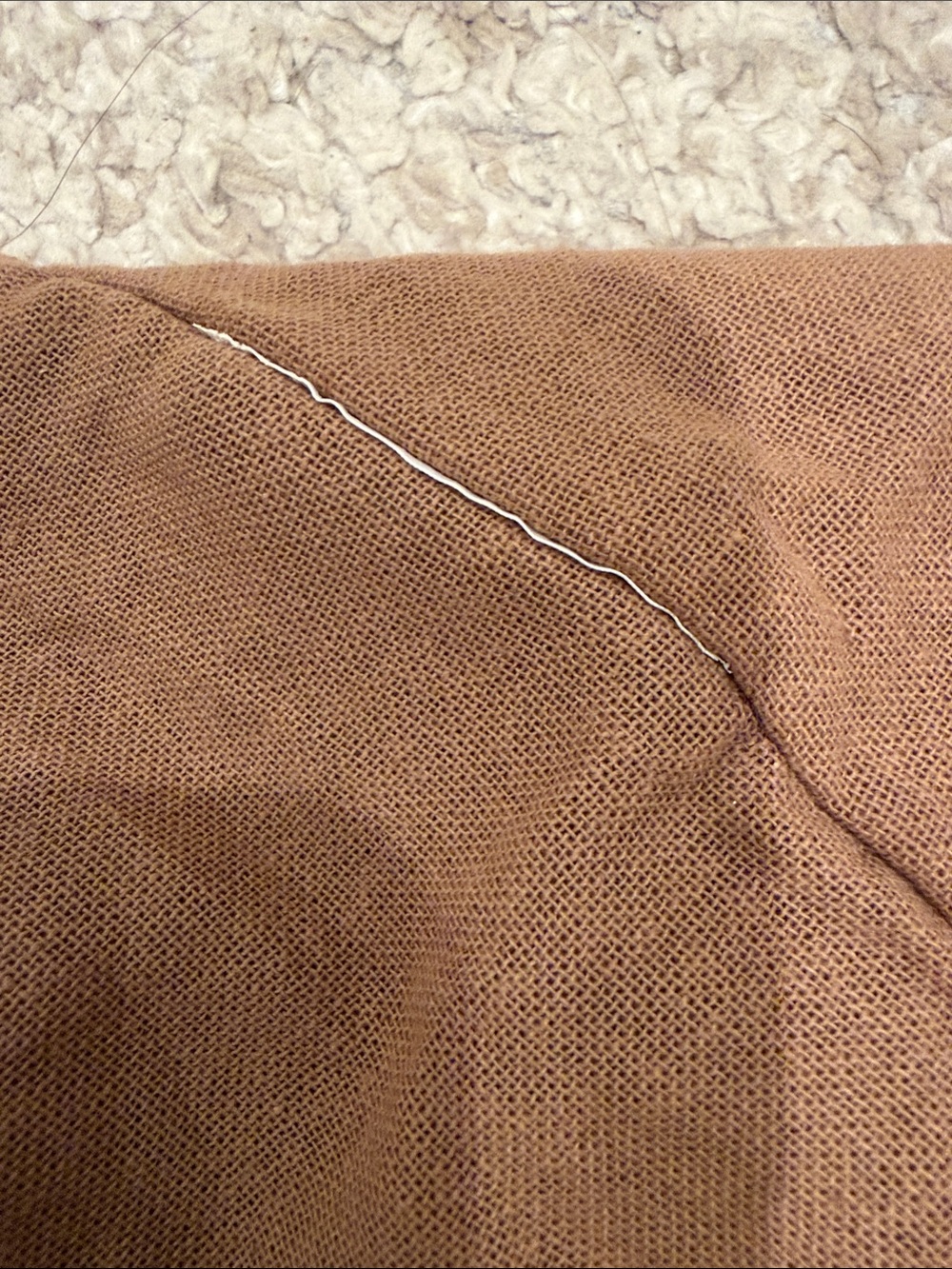 Burberry Brown Canvas Garment Bag with Top Handles - Picture 10 of 13